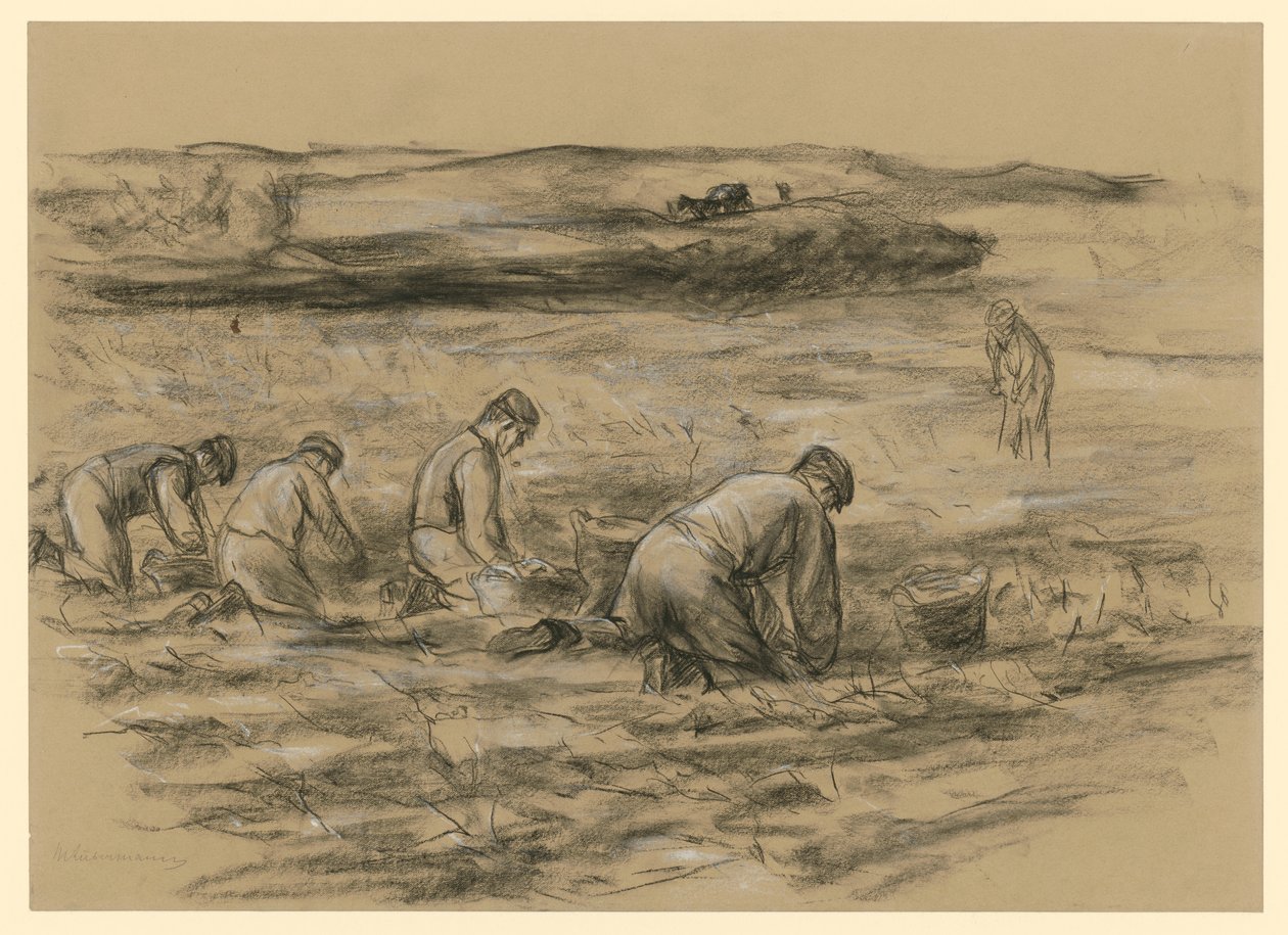 Kartoffelbuddler in Zandvoort von Max Liebermann