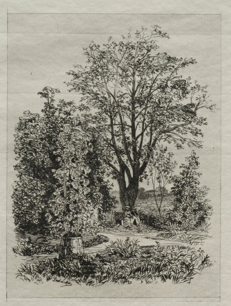 In meinem Bordeaux-Garten von Maxime Lalanne