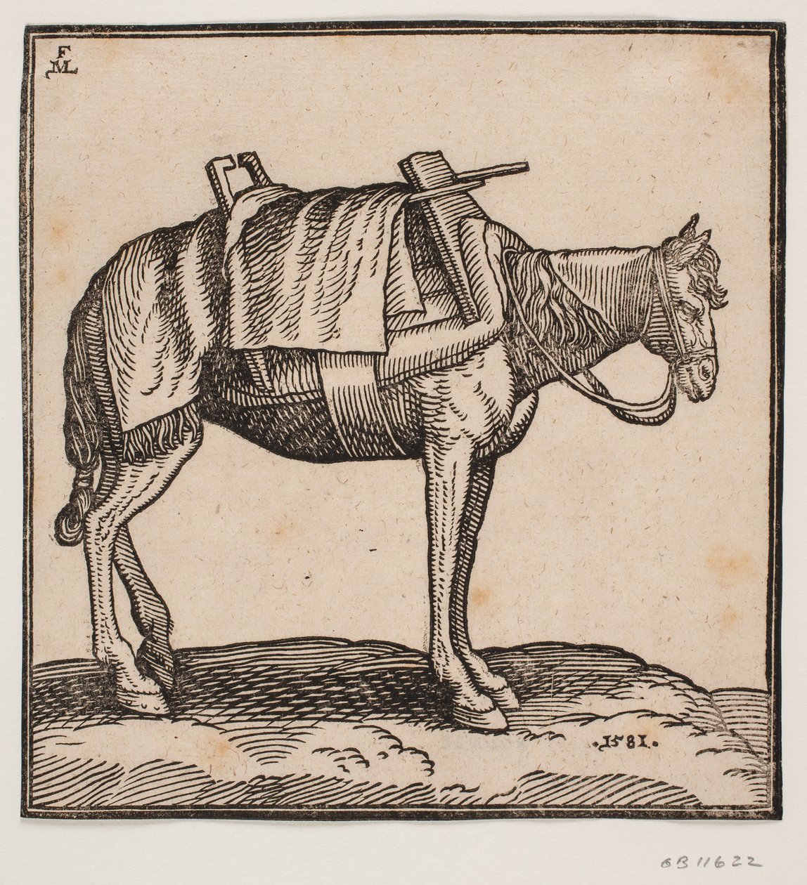 Ein gesatteltes Tragepferd von Melchior Lorck