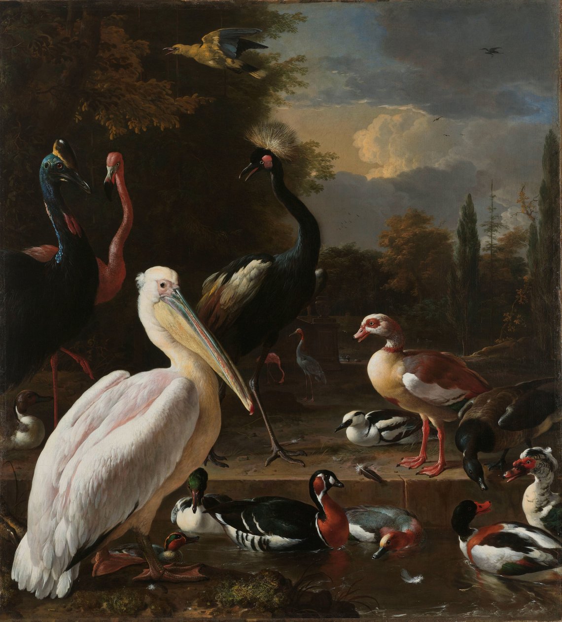 Ein Pelikan und andere Vögel an einem Teich, bekannt als 