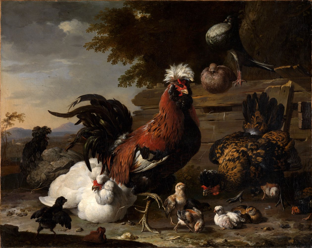 Der Friede im Hühnerhof von Melchior de Hondecoeter