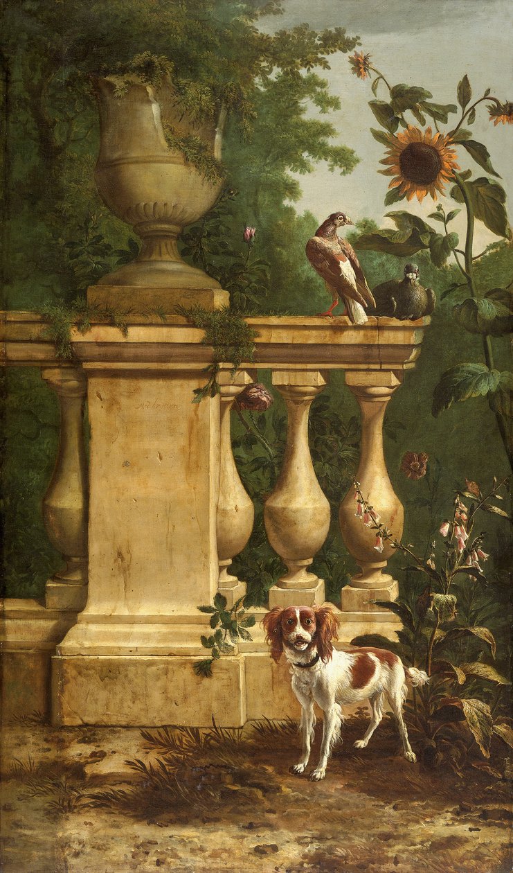 Tauben und ein Hund in einem Garten von Melchior de Hondecoeter