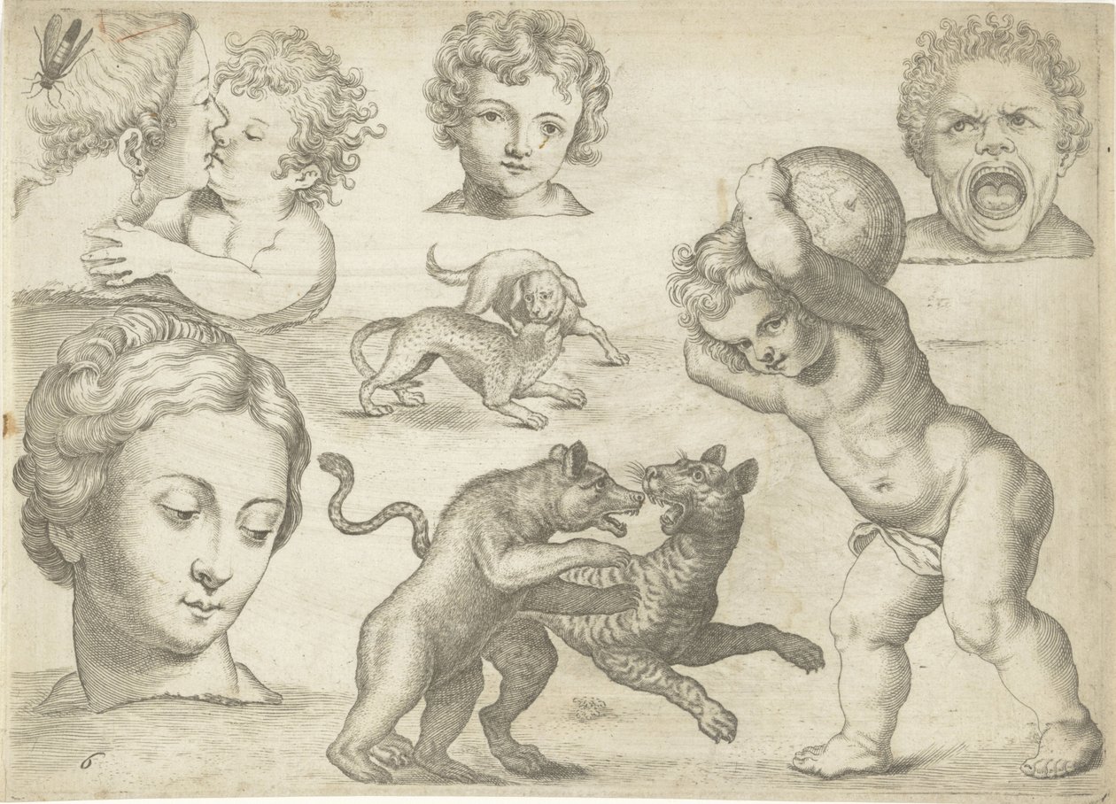 Studienblatt mit Zeichenbeispielen: Köpfe und kämpfende Tiere (Serie) von Michael Snijders
