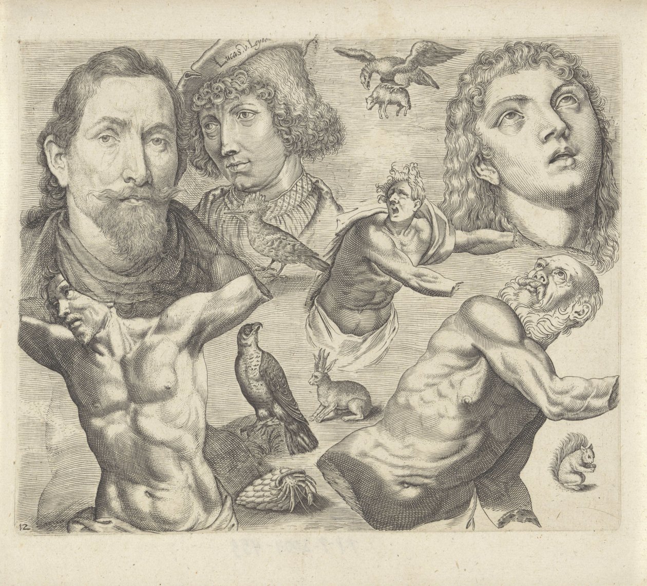Studienblatt mit Zeichenbeispielen: Köpfe, Torso und Tiere von Michael Snijders