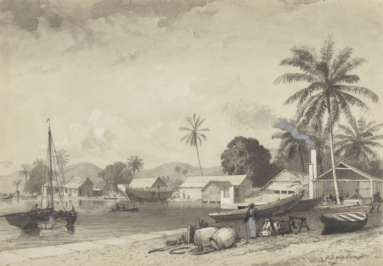 Corbeaux Town, Port of Spain von Michel Jean Cazabon