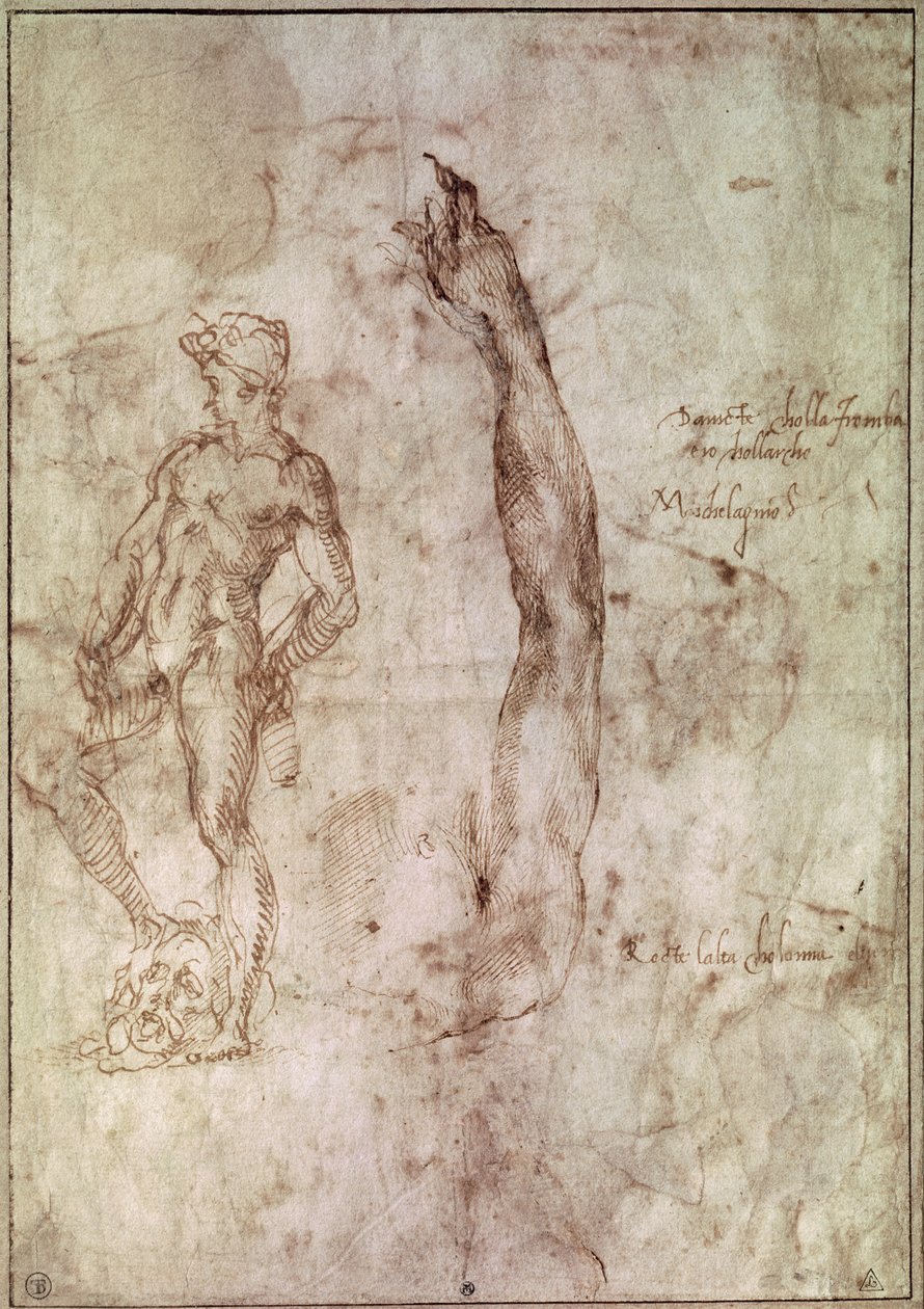 Studie für David von Michelangelo Buonarroti