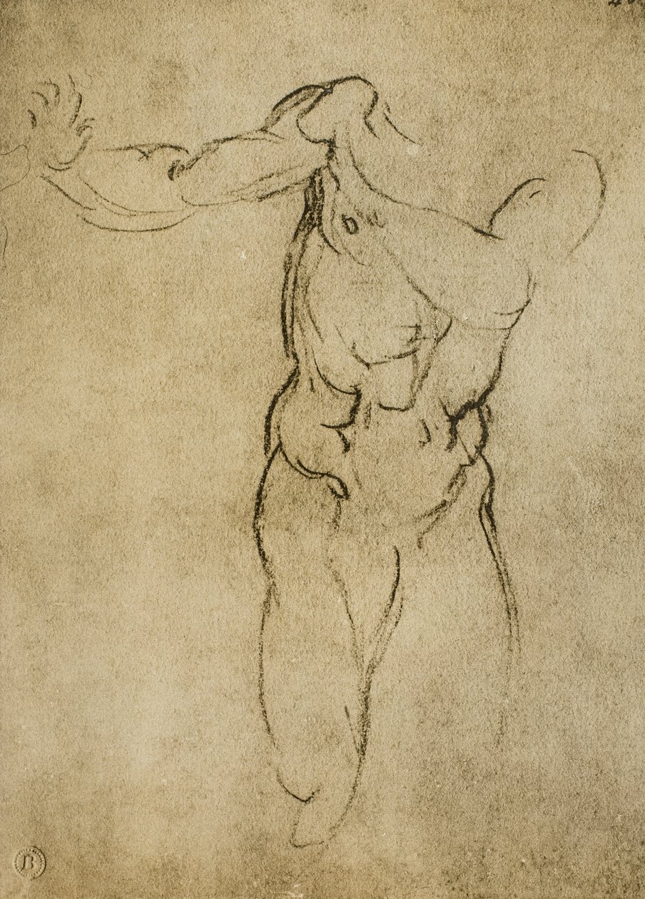 Studie für eine männliche Büste, Zeichnung von Michelangelo. Casa Buonarroti, Florenz von Michelangelo Buonarroti