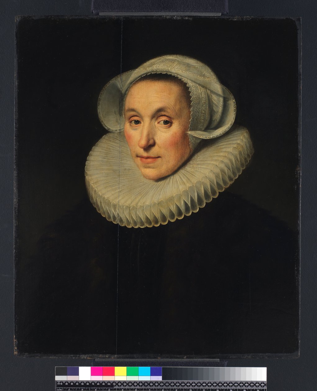 Porträt einer Dame von Michiel Jansz. van Miereveld