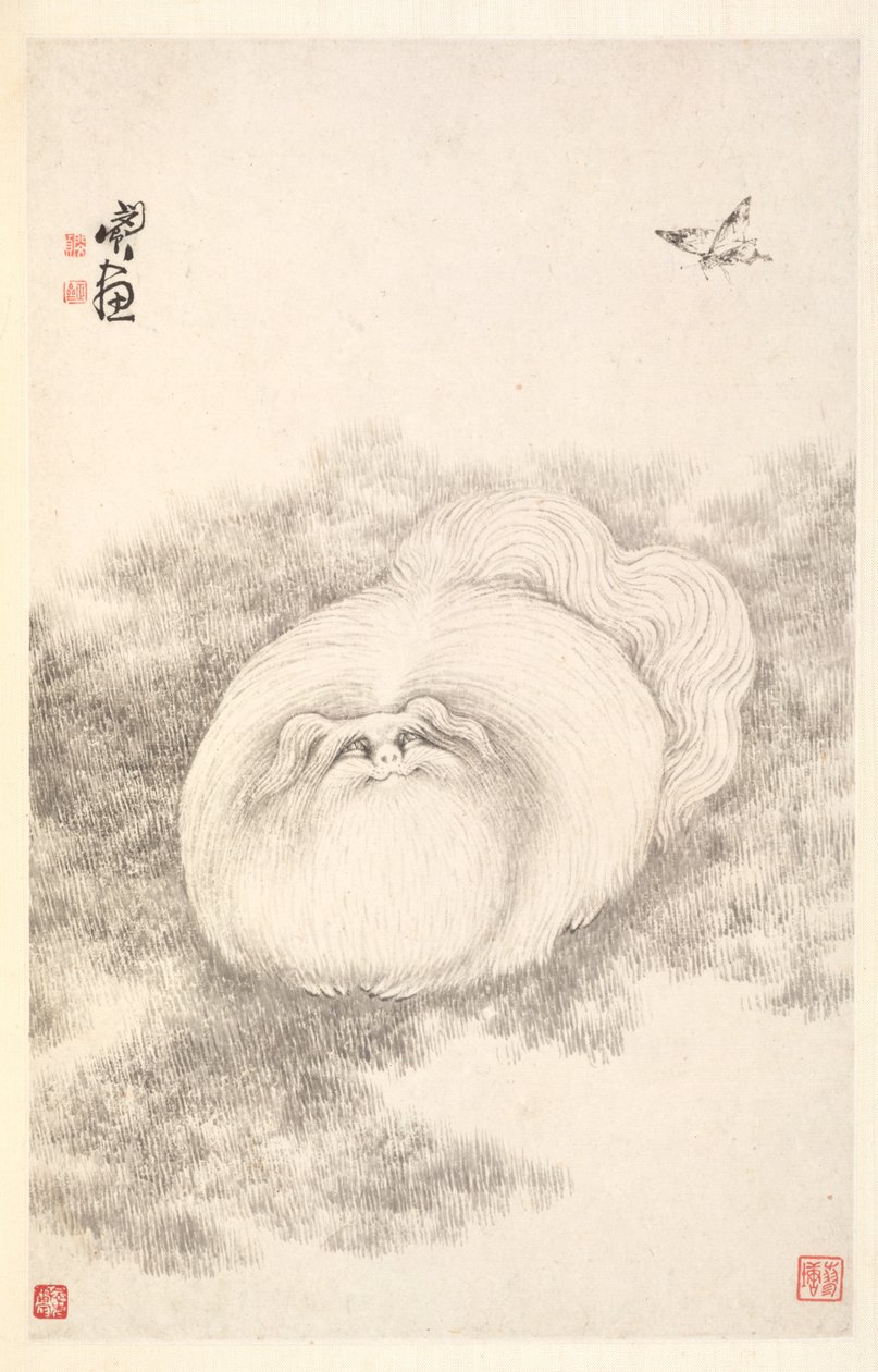 Katze und Schmetterling, 1788 von Min Zhen
