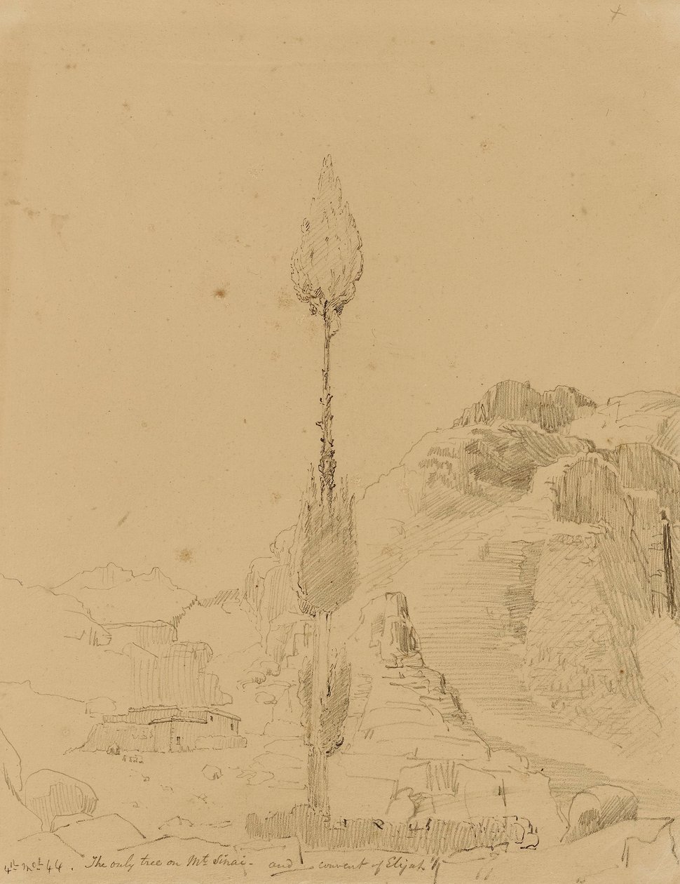 Eiche auf dem Berg Sinai von Miner Kilbourne Kellogg