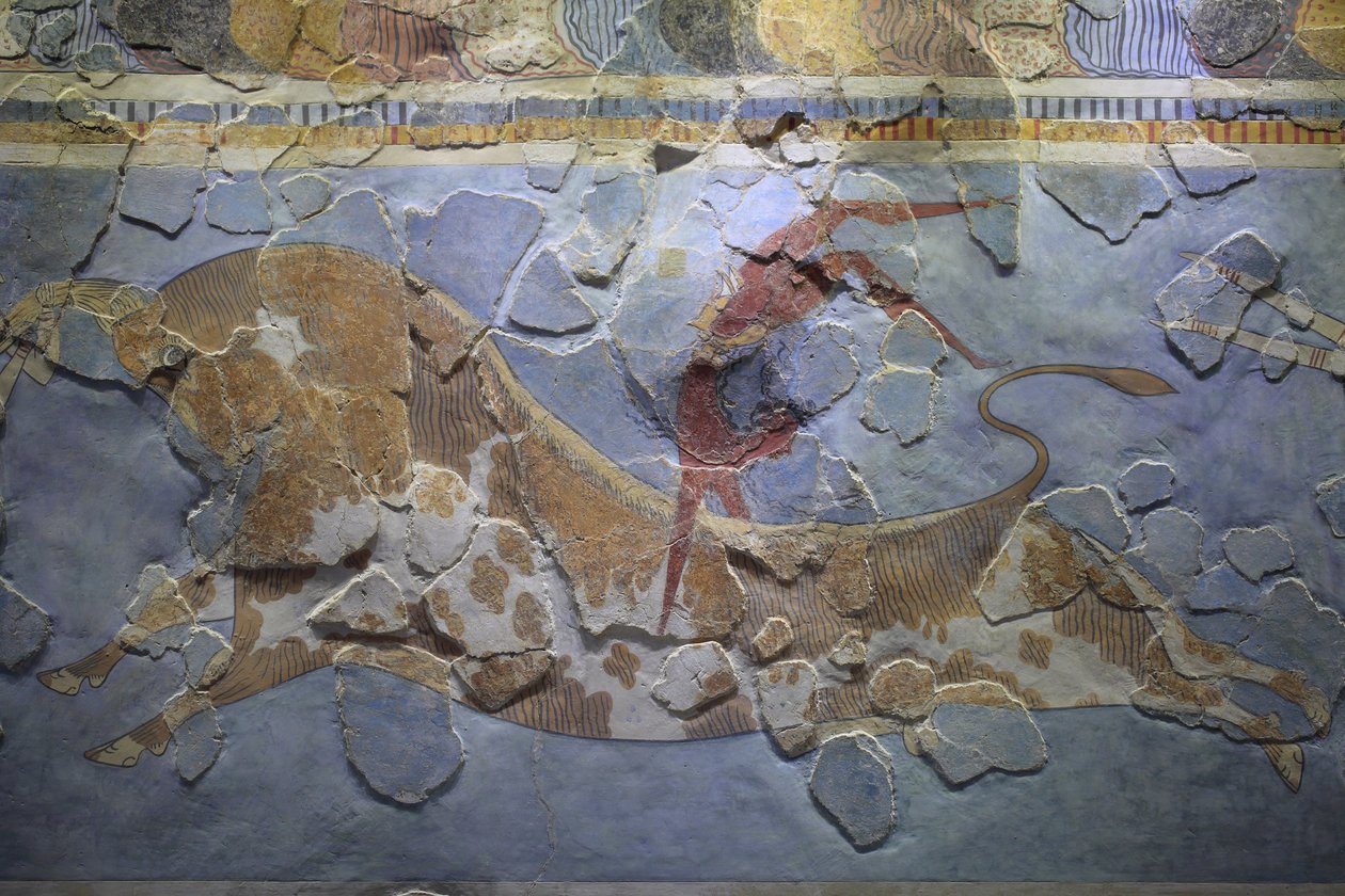 Minoische Kunst. Das „Stierspringen“-Fresko. Stierspringen-Szene, die zeigt, wie dieser Sport ausgeübt wurde. Das Fresko wurde auf der Ostseite des Palastes von Knossos gefunden von Minoan