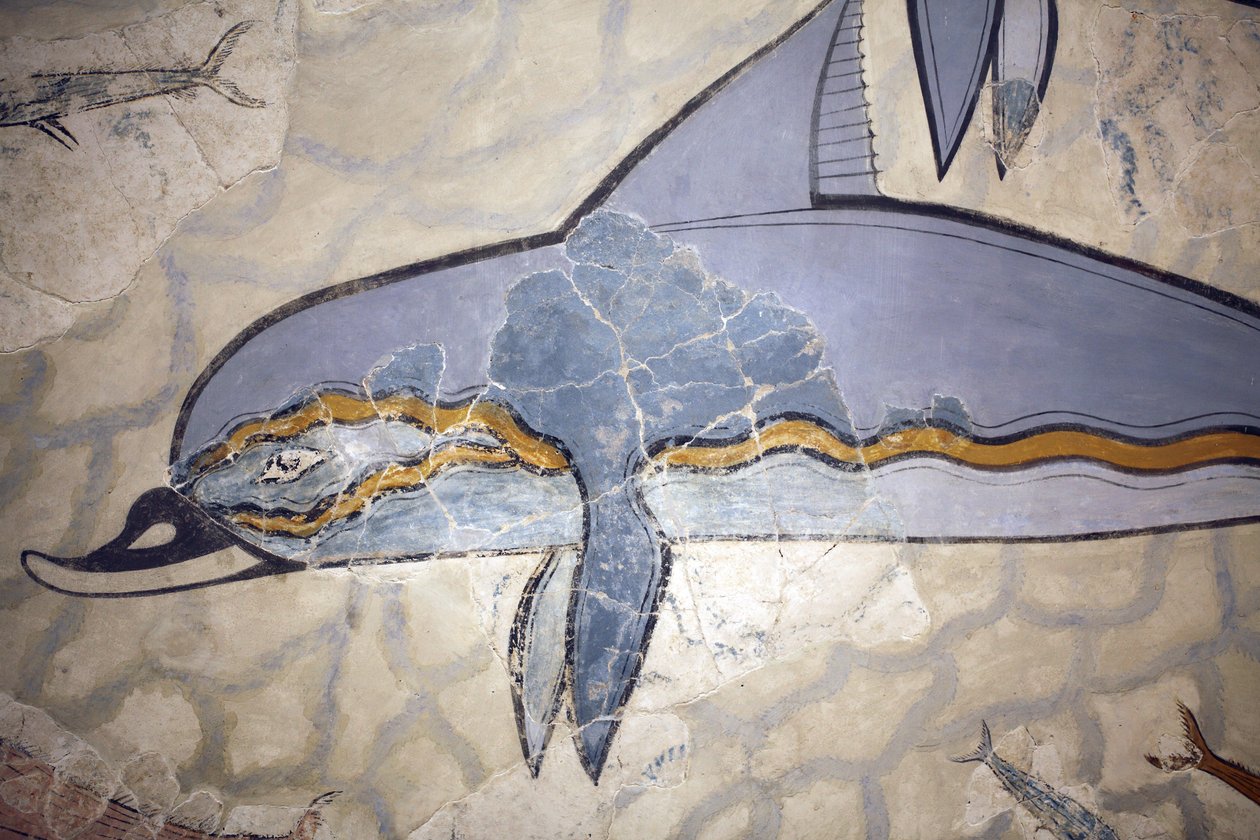 Minoische Kunst. Das „Delfin-Fresko“. Das Fresko schmückte die Wand oder den Boden eines Saals über dem Megaron der Königin. Fresko rekonstruiert aus Fragmenten des Originalwerks, das in Knossos gefunden wurde (1600 - 1450 v. Chr.). Archäologisches Museum, von Minoan