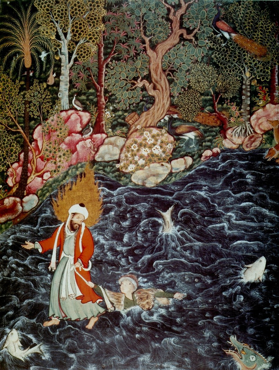 Der Prophet Elija rettet Prinz Nur ad-Dahr aus dem Hamzanama, 1562-1577 von Mir Sayyid Ali