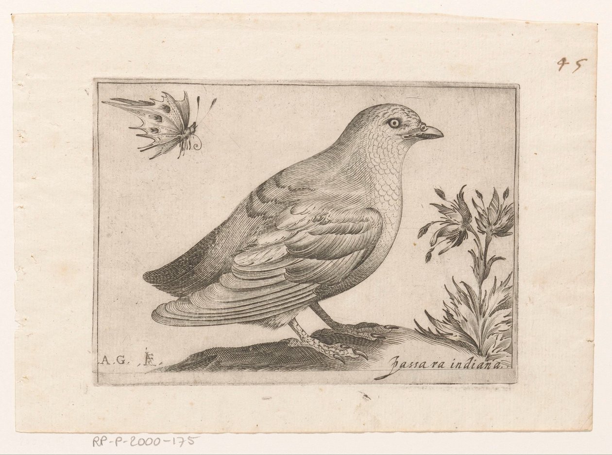 Vogel von Monogrammist AG