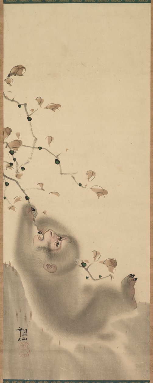 Affe, der sich an einem Ast festhält, 1780 von Mori Sosen