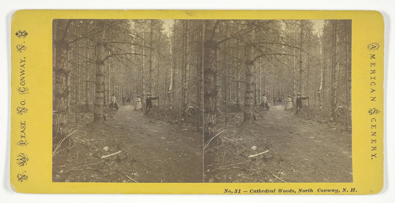 Kathedralenwälder, North Conway, N.H., Mitte des 19. Jahrhunderts von N.W. Pease