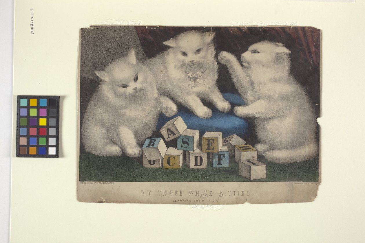 Meine drei weißen Kätzchen von N. and Ives J.M. (1824 95) Currier