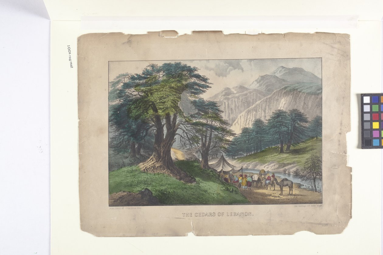 Die Zedern des Libanon von N. and Ives J.M. (1824 95) Currier