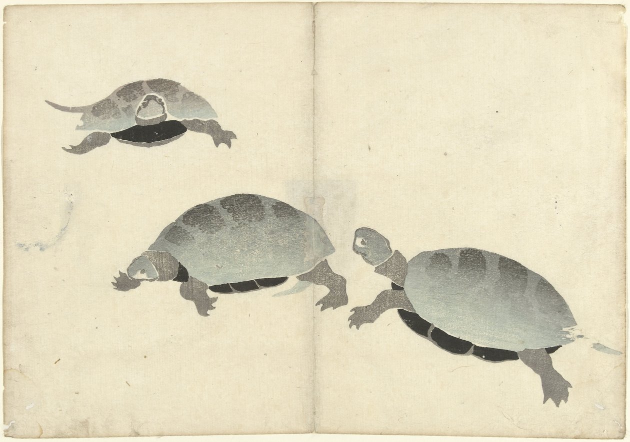Drei Schildkröten von Nakamura Hochu