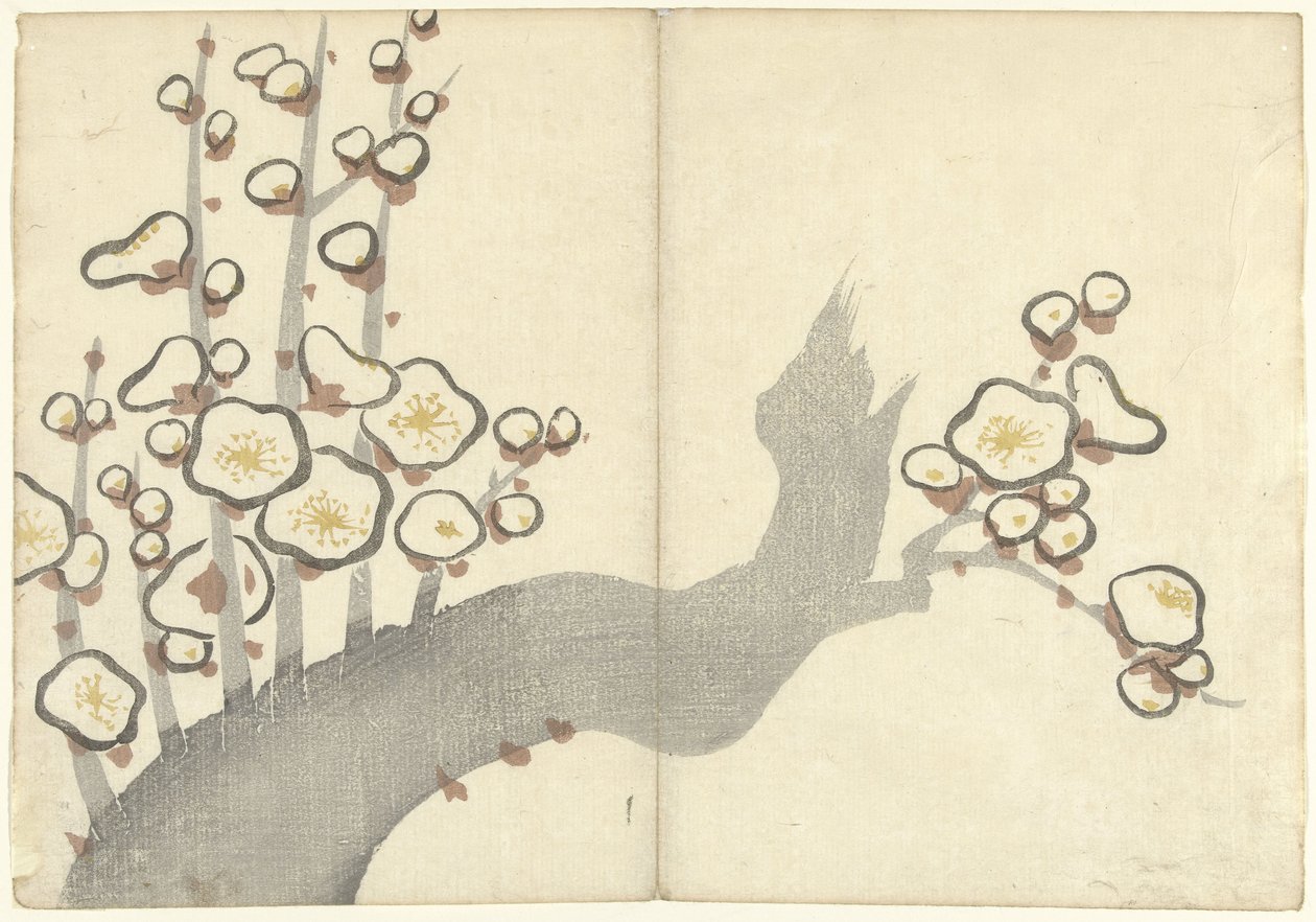 Pflaumenblüte (Prentenalbum von Korin, Korin gafu) von Nakamura Hochu