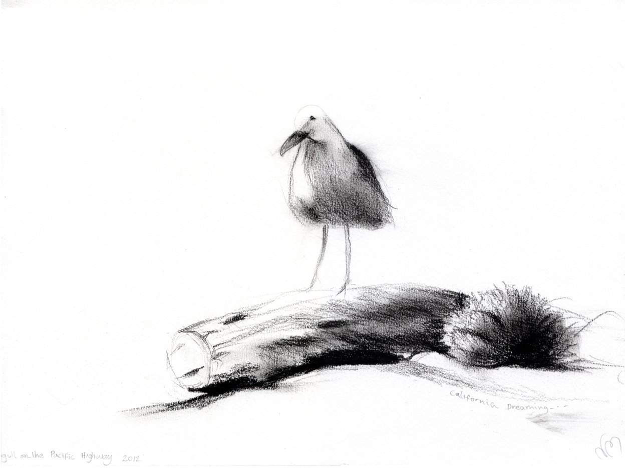 Kalifornische Möwe, 2012 (Kohle auf Papier) von Nancy Moniz Charalambous