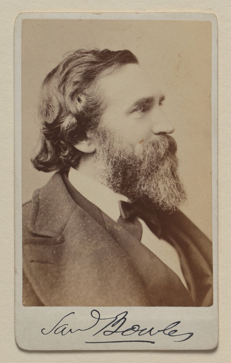 Samuel Bowles II von Napoleon Sarony