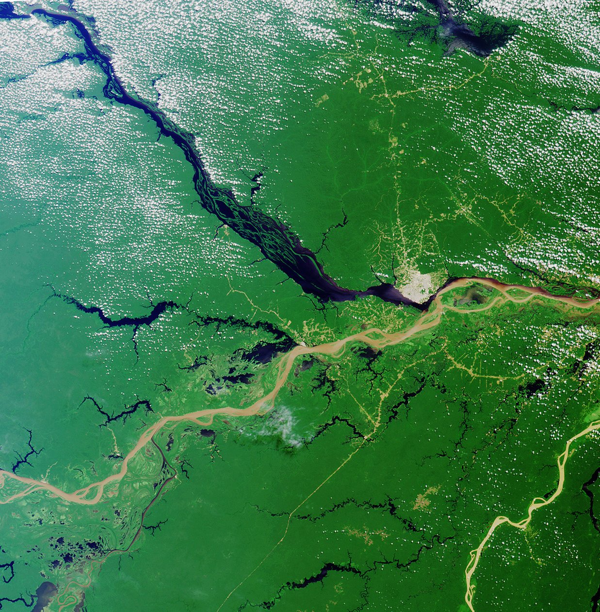 Zusammenfluss des Rio Solimoes und des Rio Negro nahe Manaus, Brasilien, um den Amazonas zu bilden, den größten Fluss der Erde. Satellitenbild 23. Juli 2000. Wissenschaft Geographie von National Aeronautics and Space Administration National Aeronautics and Space Administration