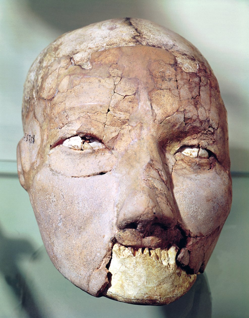 Schädel aus Jericho von Neolithic