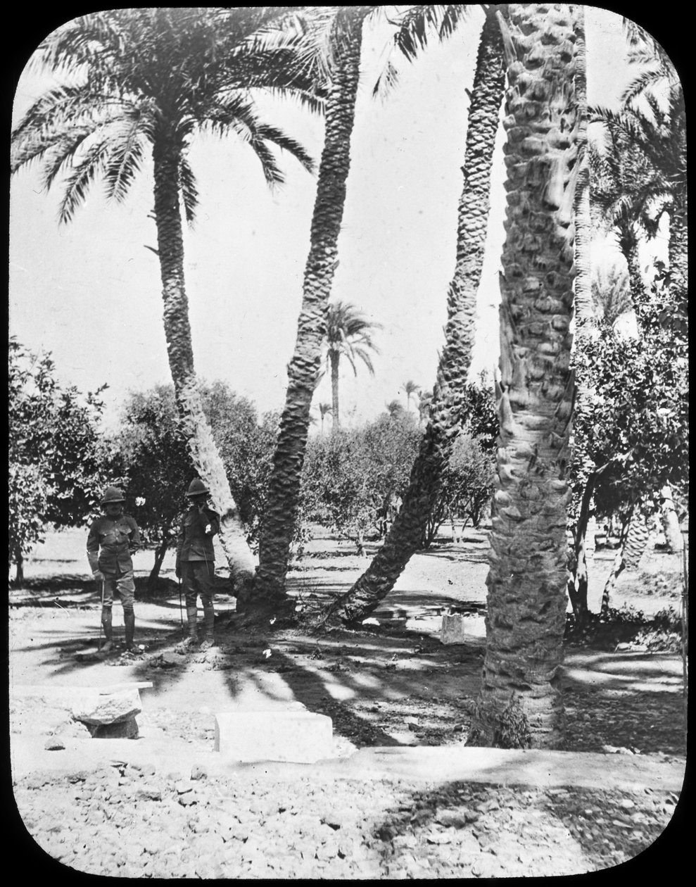 General Gordons Garten, Khartum, Sudan, ca. 1890 von Newton and Co