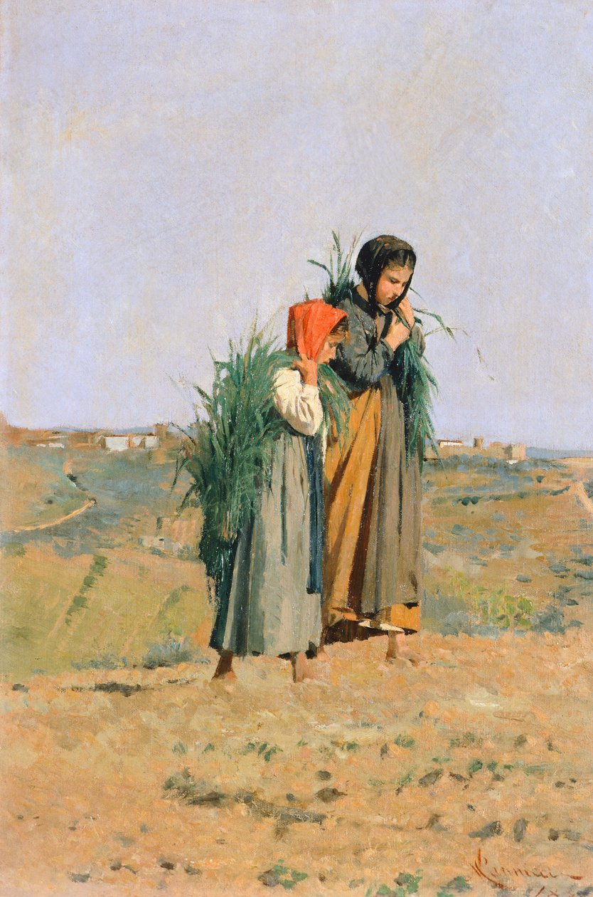 Erbaiole von Niccolo Cannicci