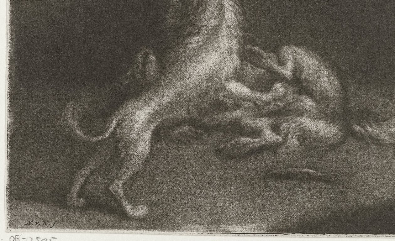 Zwei spielende Hunde von Nicolaas Verkolje