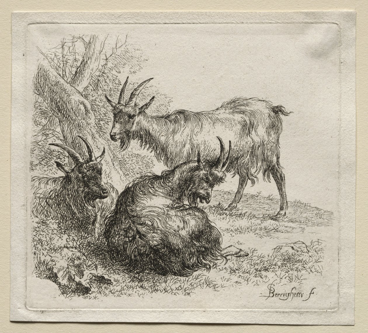 Animalia: Drei Ziegen von Nicolaes Berchem