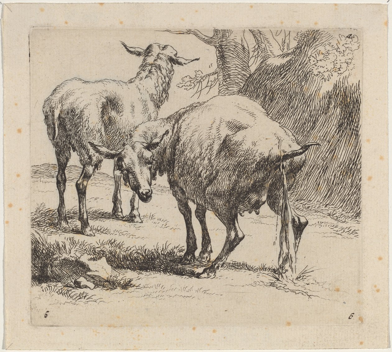 Zwei Schafe, eines pinkelt von Nicolaes Berchem