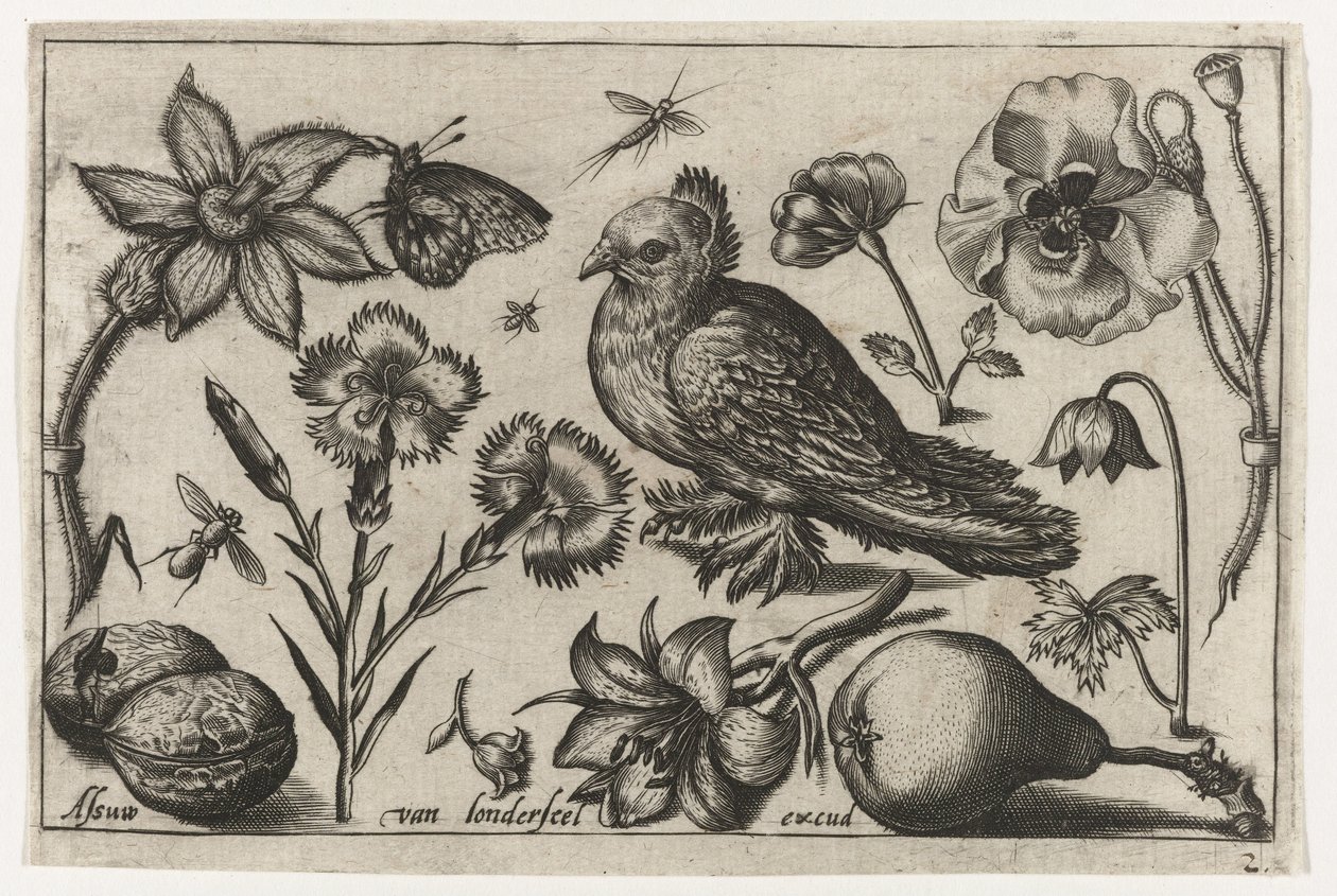 Blumen, eine Birne und eine Taube, Vögel, Blumen, Insekten etc. (Serientitel) von Nicolaes de Bruyn (possibly)
