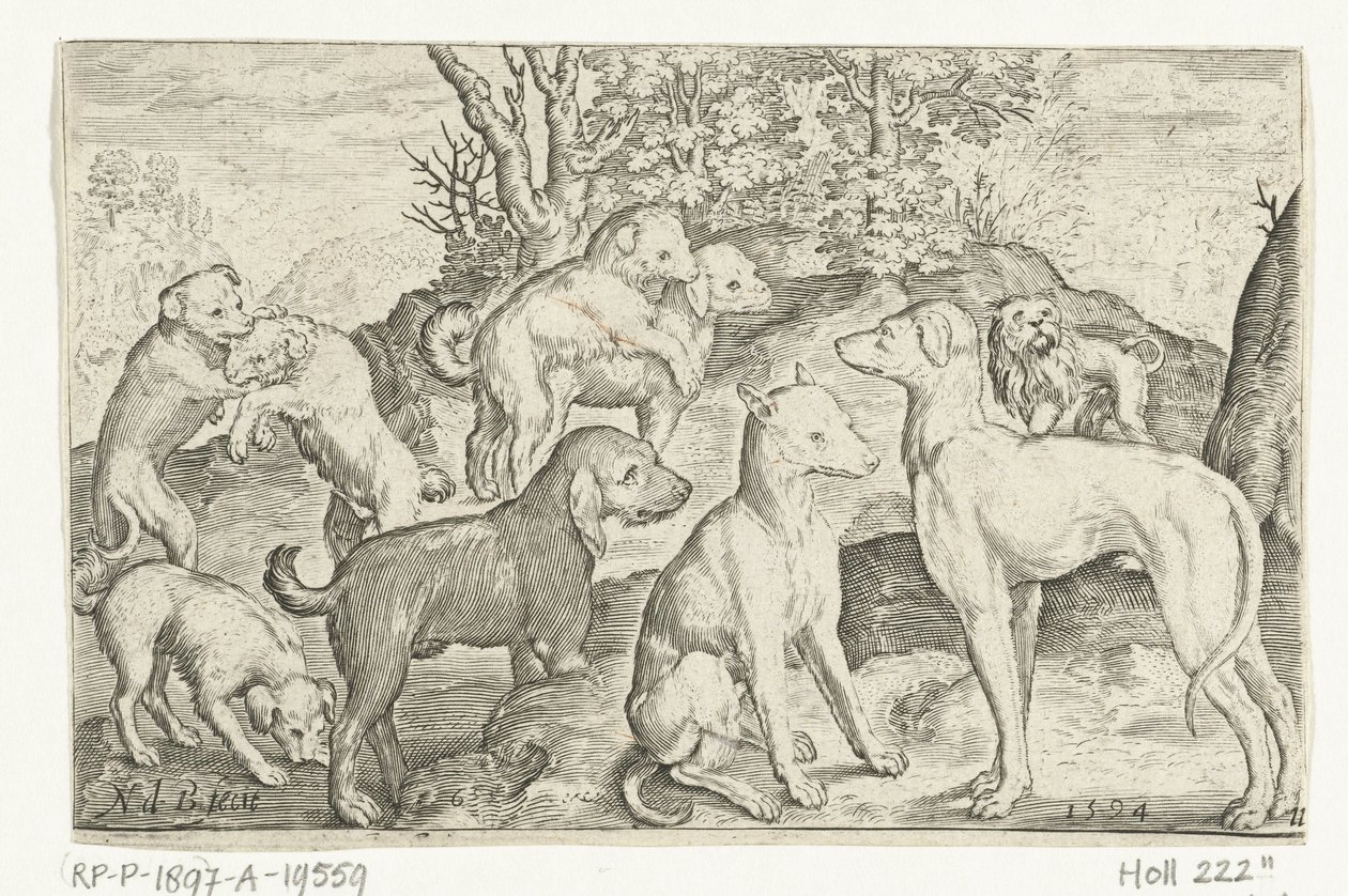 Neun Hunde von Nicolaes de Bruyn