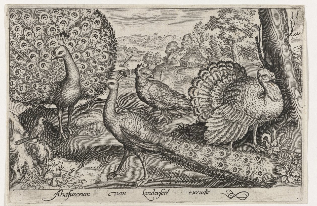 Zwei Pfauen und ein Truthahn von Nicolaes de Bruyn