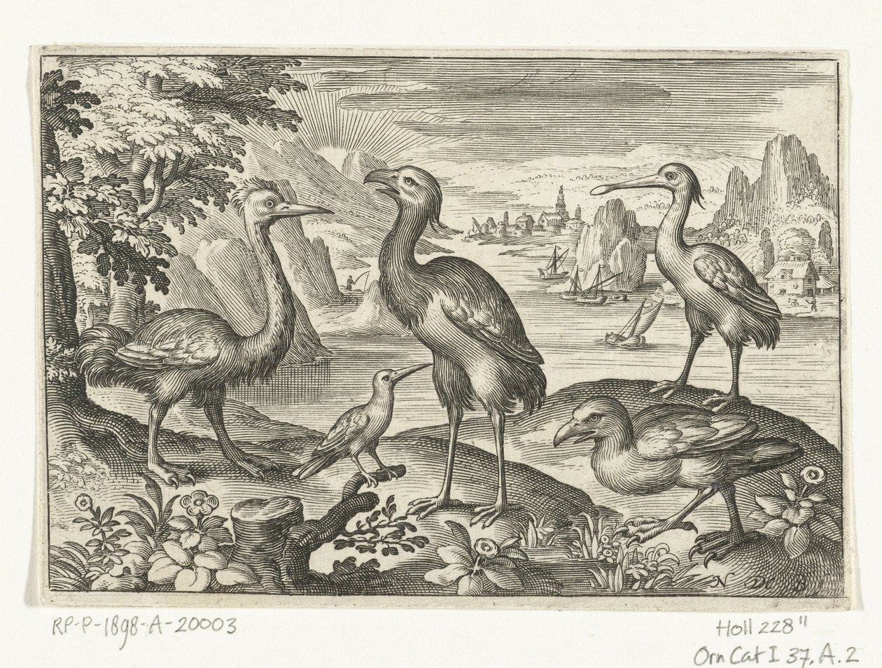 Fünf Vögel einschließlich Löffler (Vögel und Insekten) von Nicolaes de Bruyn