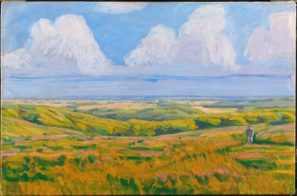 Blick von Korsdalen. Hammer Hills von Niels Larsen Stevns