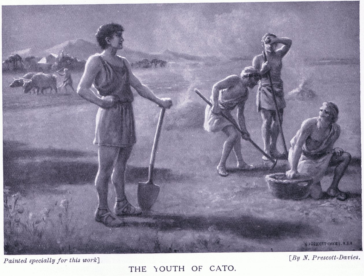 Die Jugend von Cato von Norman Prescott Davies