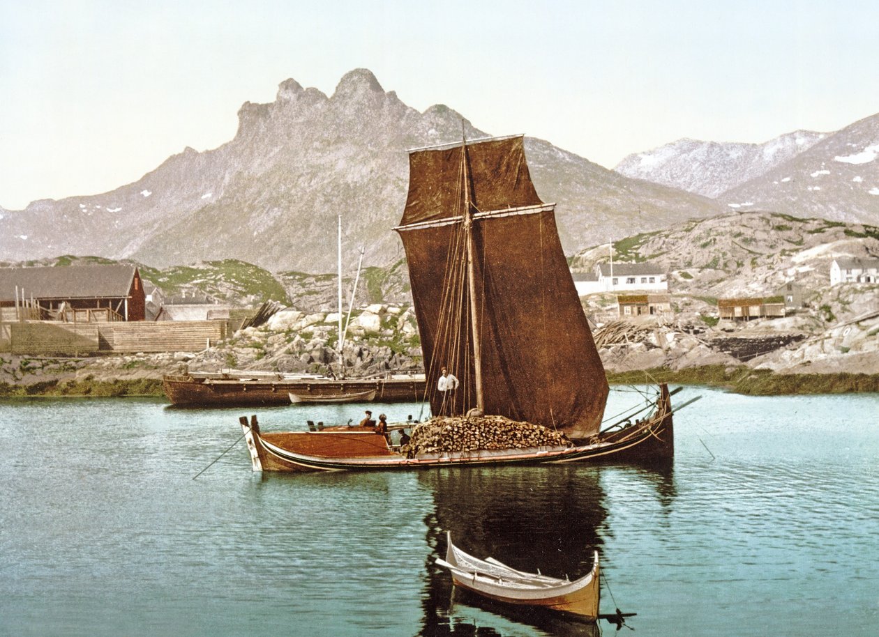 Nordland-Boot mit einer Ladung Holz, Norwegen von Norwegian Photographer