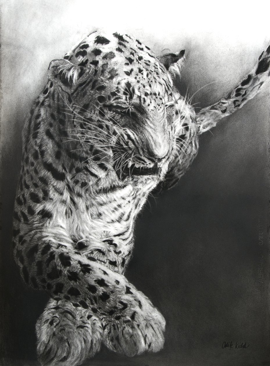 Panthera pardus 1, 2009 von Odile Kidd