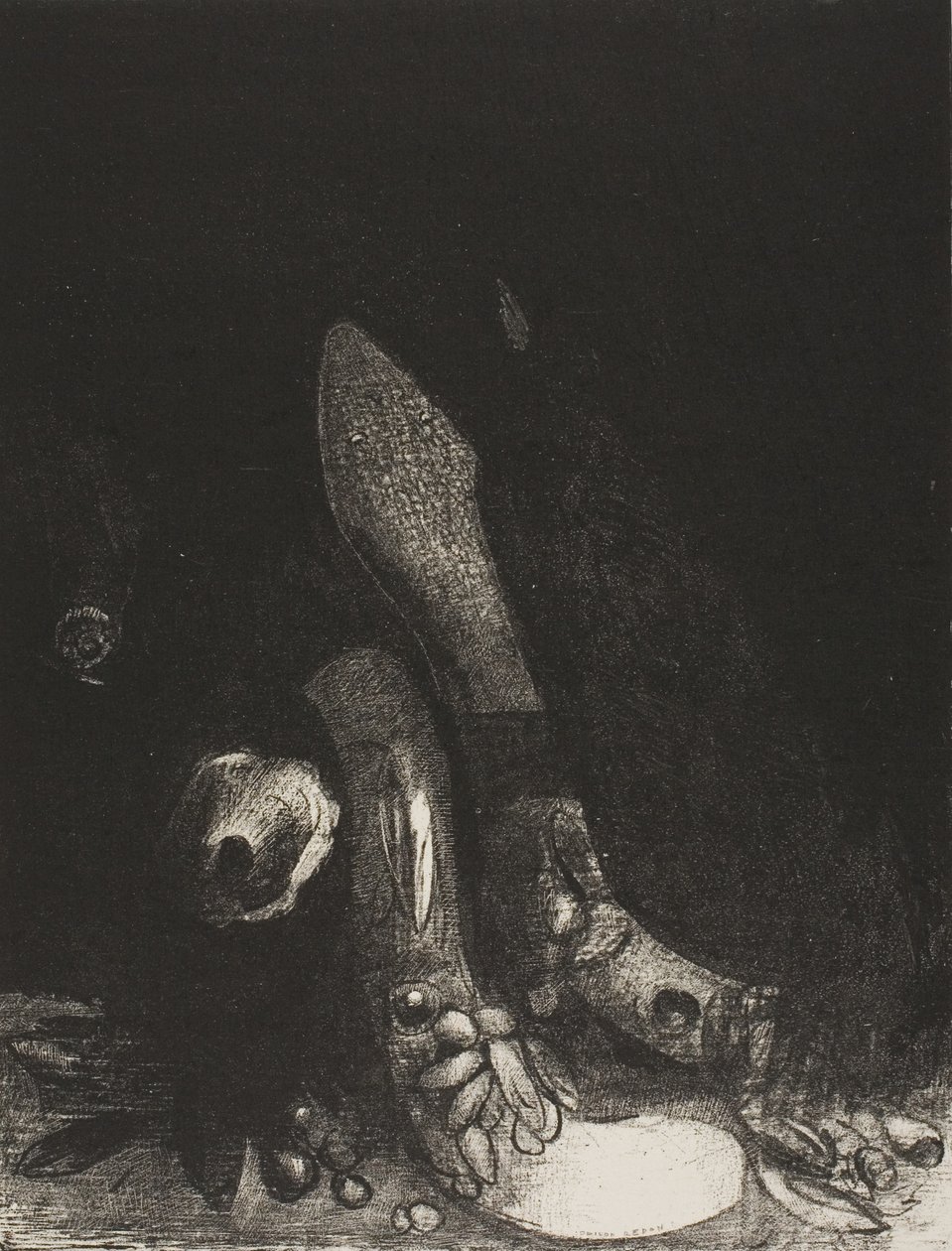 Blumen fallen und der Kopf einer Python erscheint, Platte 5 von 24 von Odilon Redon
