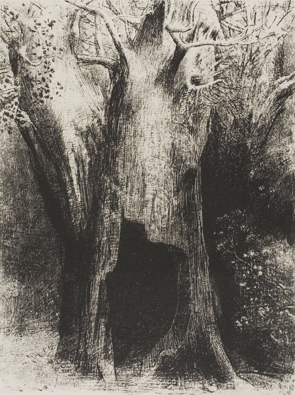Ich tauchte in die Einsamkeit ein. Ich wohnte im Baum hinter mir, Platte 9 von 24 von Odilon Redon