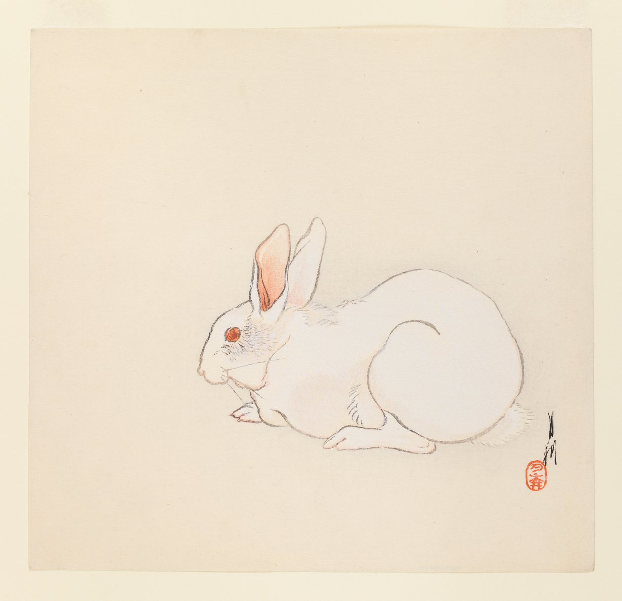 Weißes Kaninchen, ca. 1890-1910 von Ogata Gekko