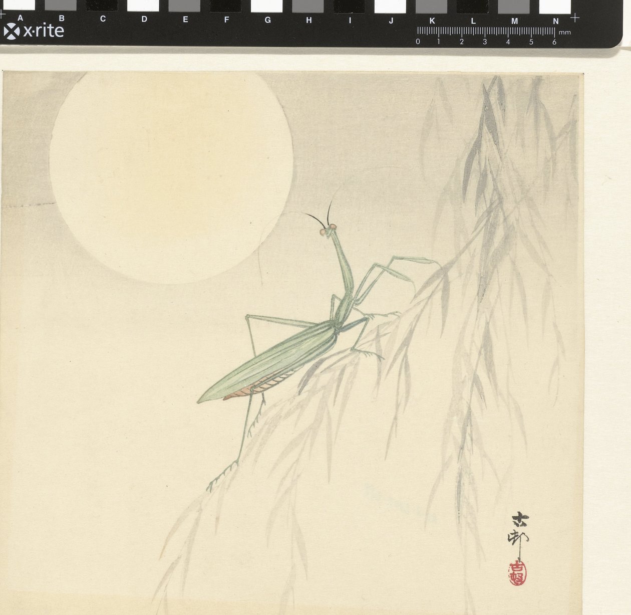 Gottesanbeterin von Ohara Koson