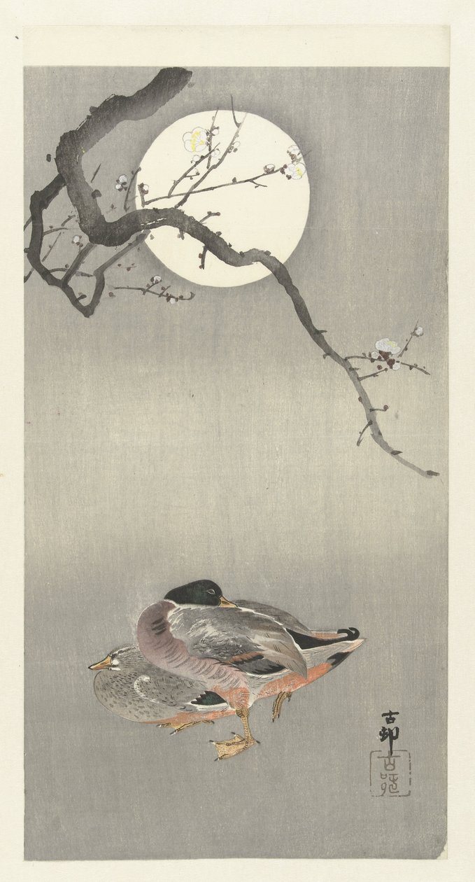 Enten bei Vollmond von Ohara Koson
