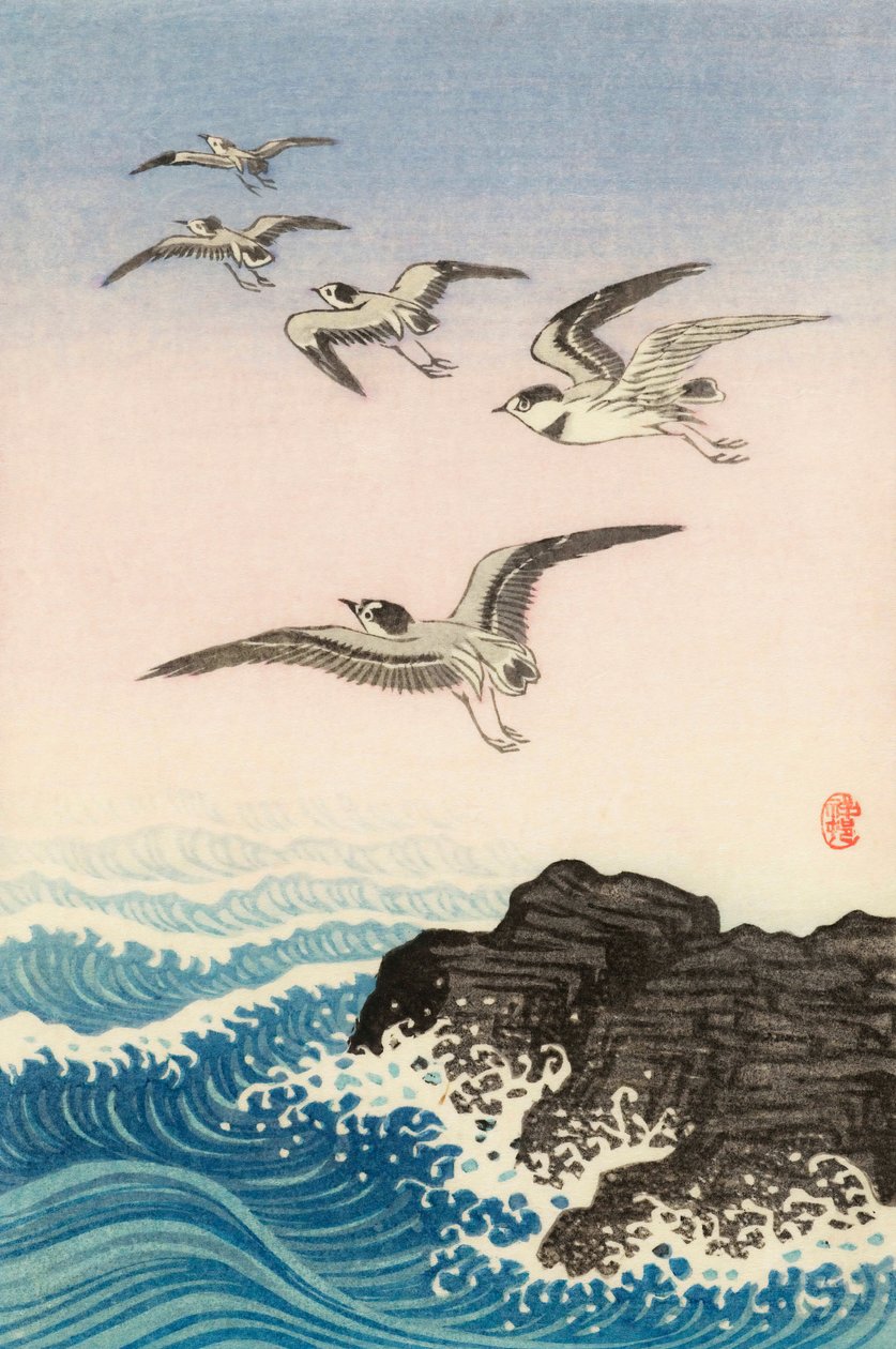 Fünf Möwen über einem Felsen im Meer, 20. Jahrhundert von Ohara Koson