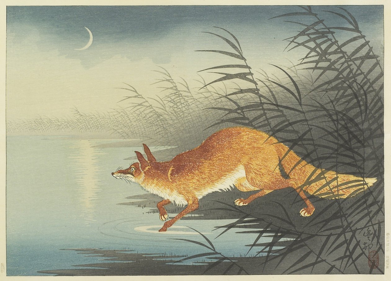 Fuchs am mondbeschienenen Wasser von Ohara Koson