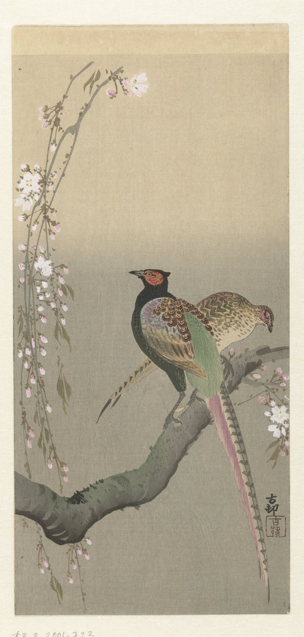 Paar Fasane und Kirschblüten von Ohara Koson