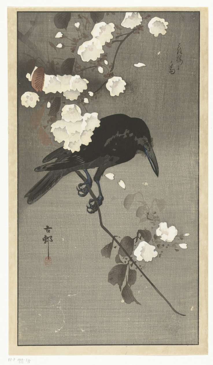 Krähe mit Kirschblüte von Ohara Koson